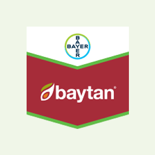 Baytan