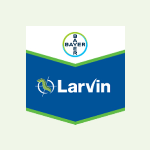 Larvin