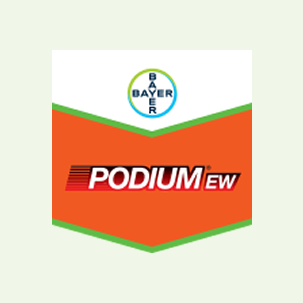 Podium EW