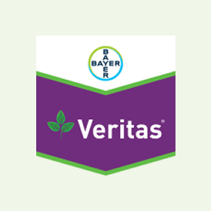 Veritas